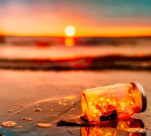 Stages d&rsquo;été avec Aude