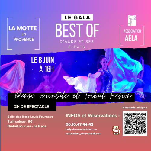 Le gala AELA 2025 ! Un article écrit par ses élèves